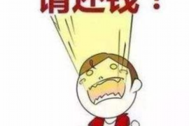 西市如何避免债务纠纷？专业追讨公司教您应对之策